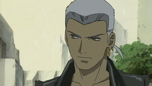 Саарал чоно