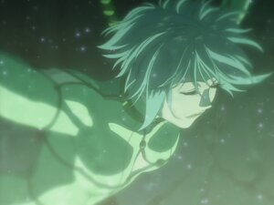 Солирын хэлтэрхий