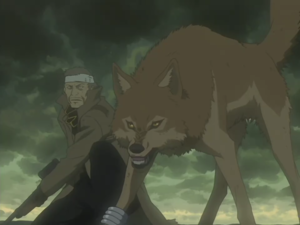 Харууслын буун дуу