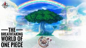 The Beauty of One Piece