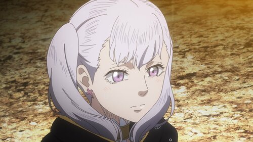 Өөр нэгэн шинэ элсэгч