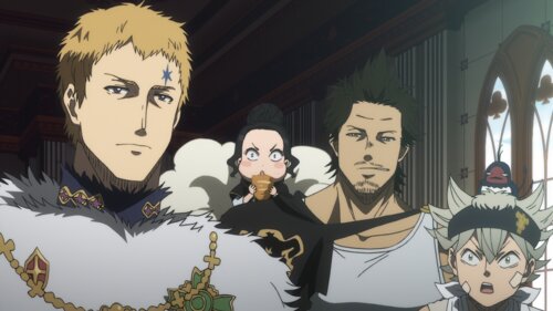 Зөв зүйлийн баталгаа