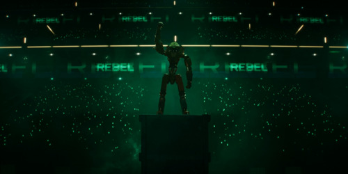 БОДИТ БУС ТЭМЦЭЭН: Зан