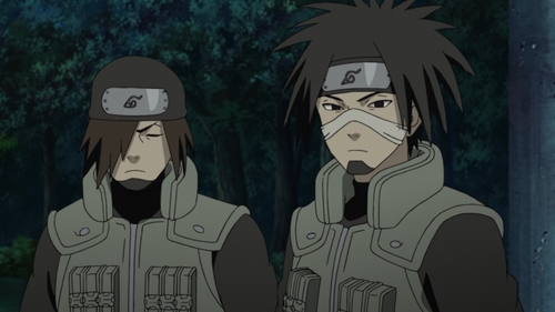 Хүчний ялгаа