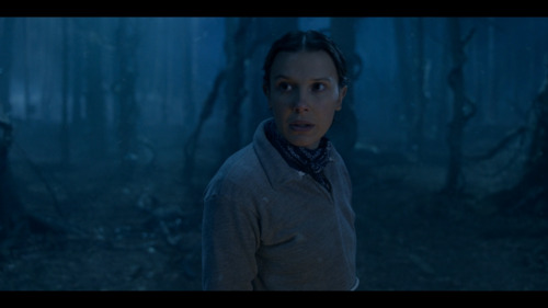 Холли Виллер алга болсон нь