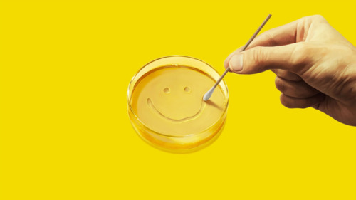 Гуйж байна, Карол