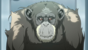 Эрлийзийн давуу чанар