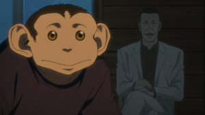 Хурдасгасан дэвшлийн хаалга